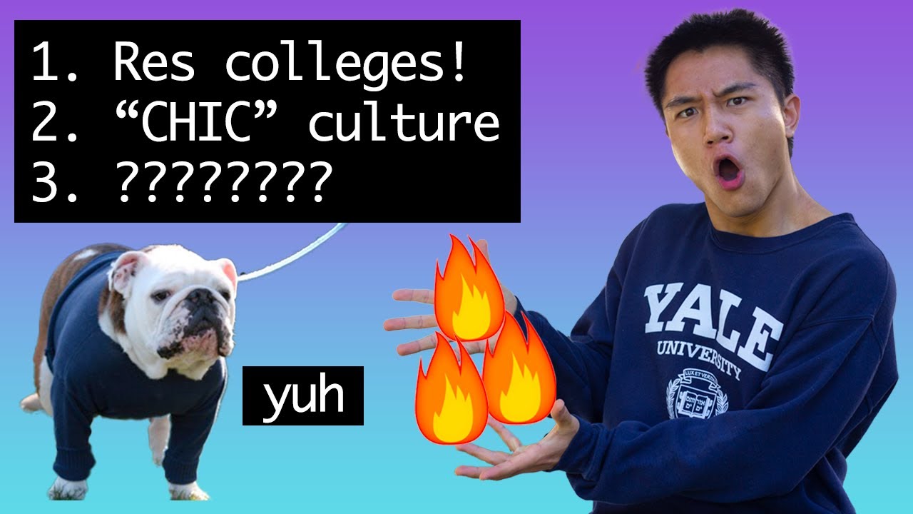3 FUEGO answers to “Why Yale” Supplement Essays (as told by a Yale 2020 grad)