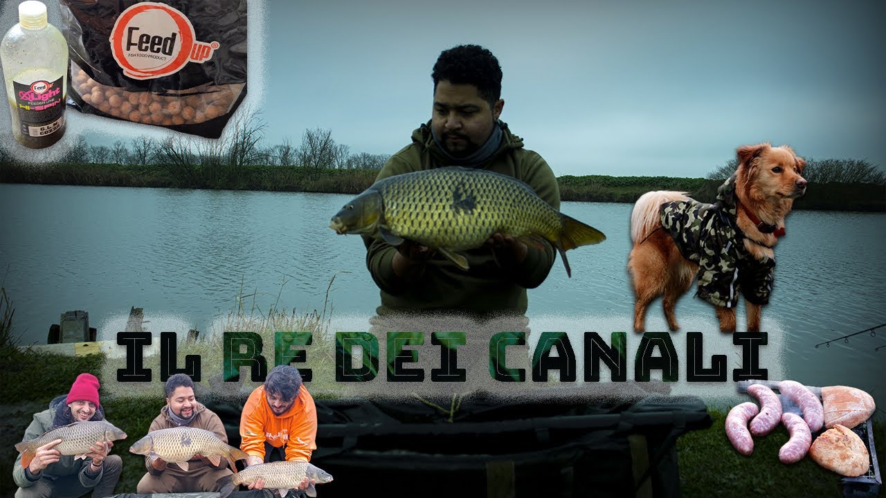 Carpfishing Ostellato I Canale circondariale I Con i Seguaci