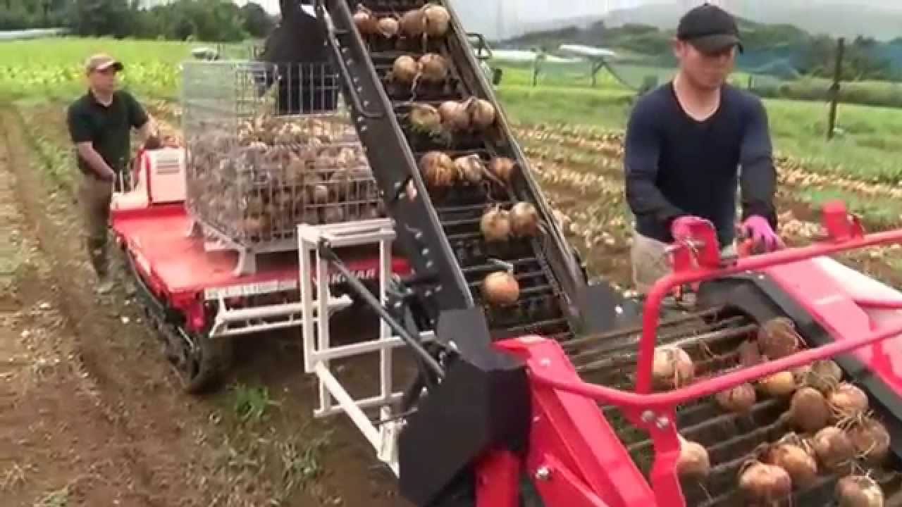 歩行型たまねぎピッカーHP90T,CL