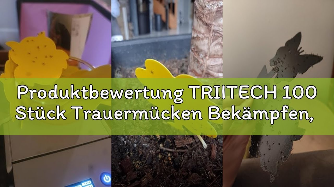 Produktbewertung TRIITECH 100 Stück Trauermücken Bekämpfen, Gelbsticker Trauermücken, Klebriger Fäng
