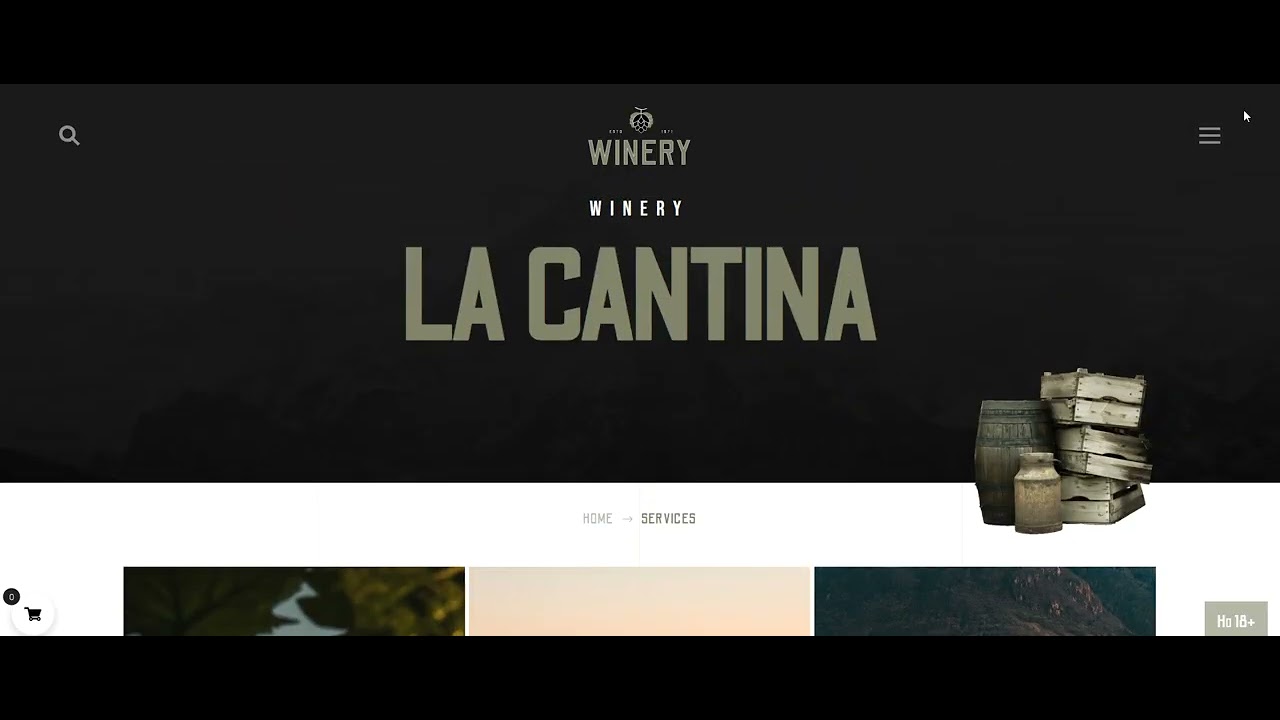 💻 Demo Reel-27 &ndash; Web Design & Creative Development 2025