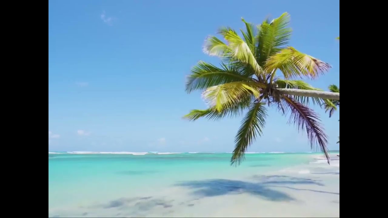 أَرَجُ دَارِيْــن فـي تَعَـامُـلِ الأَمِـيْــن مَع المُخْطِئيــن(20)
