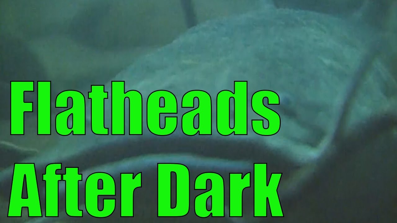 In-Fisherman Classics: Stalking Giant Flatheads AFTER DARK