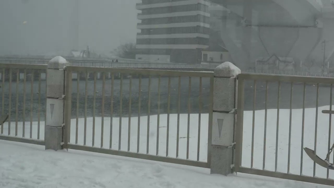 Aomori Snow (December 4th, 2025)
