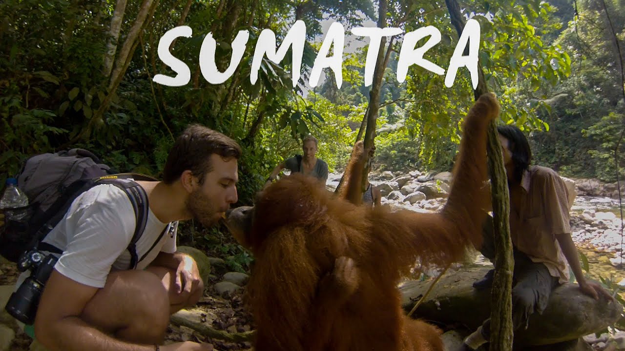 Backpacking around Sumatra | GoPro