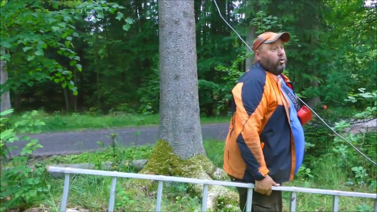 Forest job / Těžba dřeva s lanováním - Stihl 462 #286