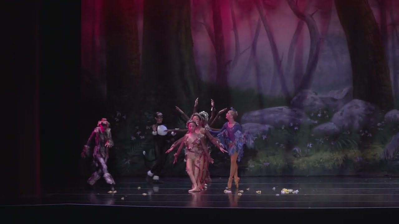 AOCBallet Peter & the Wolf Trailer 2018