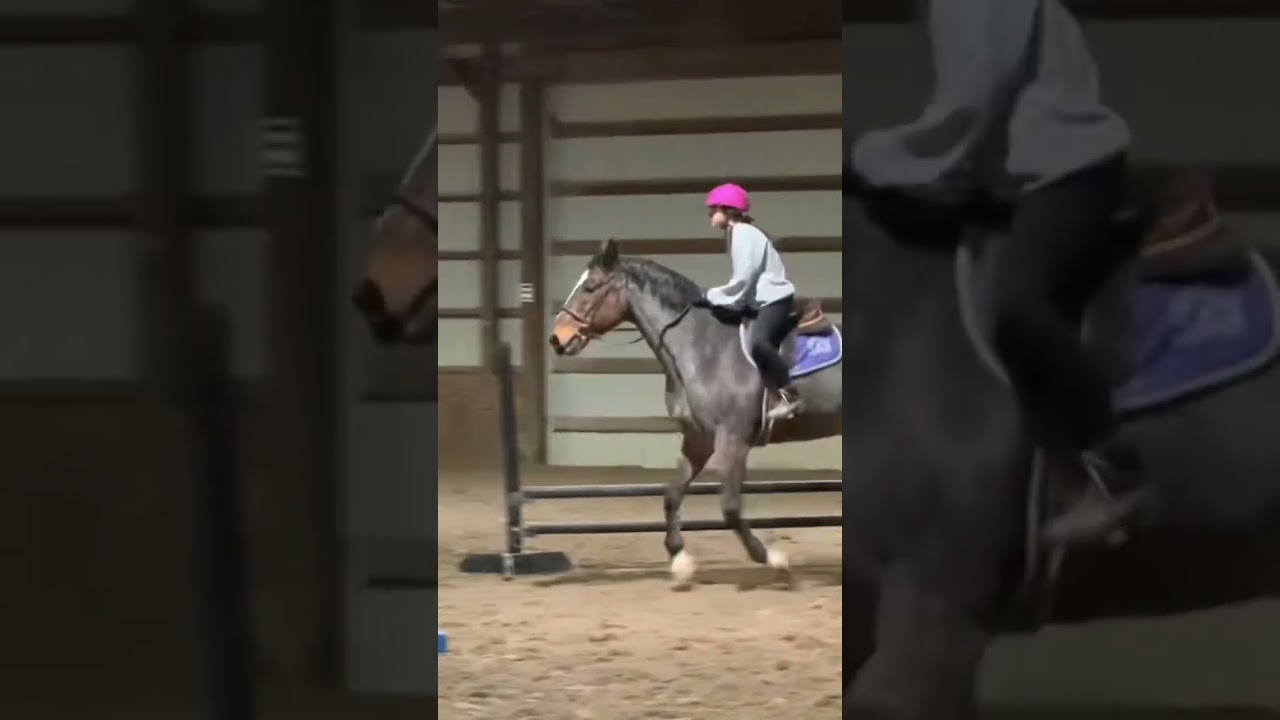 Emotional damage ? #equestrian #equine #horse #horseriding #horses