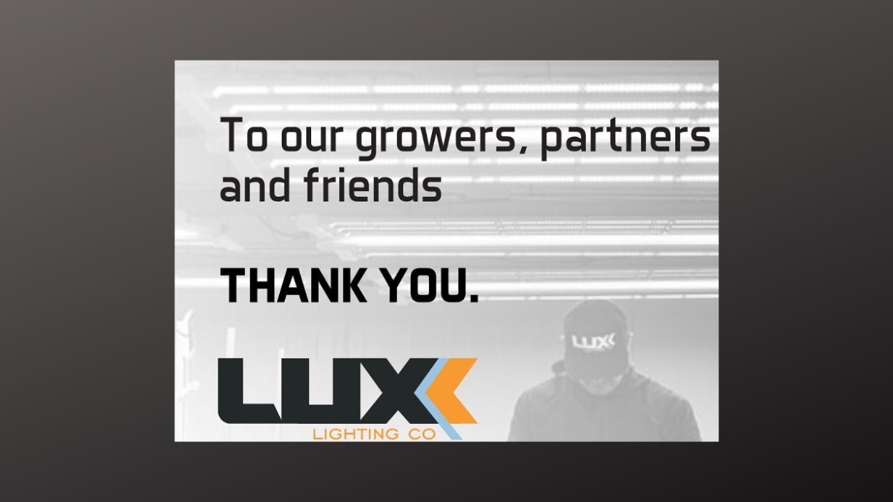 Luxx Lighting Co. Out of Business! #shorts