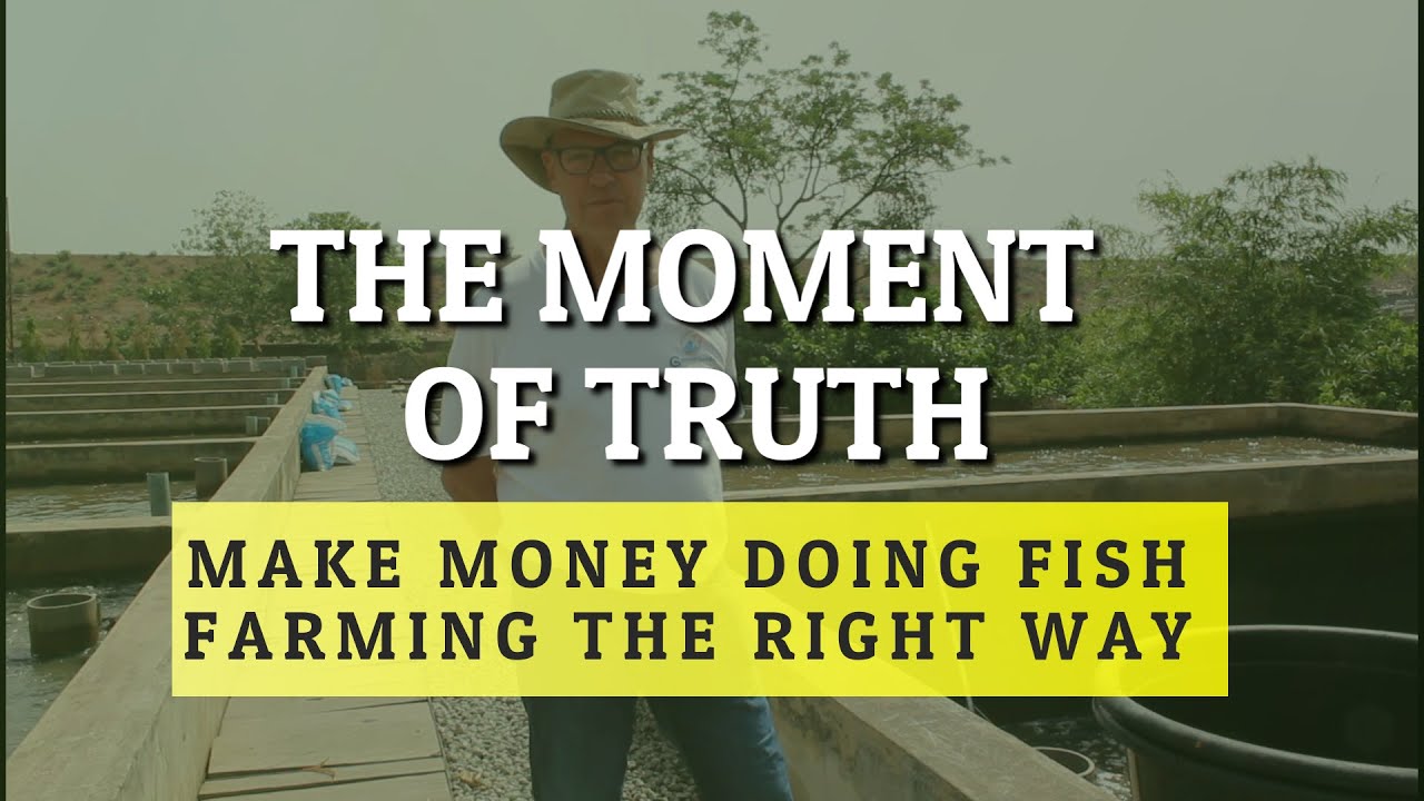 The Moment Of Truth - Make Money Doing Fish Farming The Right Way