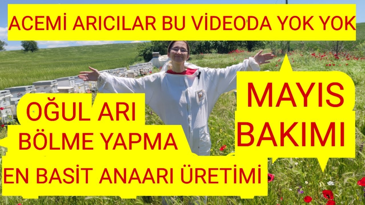 MAYIS AYI ARI BAKIMI VE ÇOK DAHA FAZLASI 🐝BU VİDEO KAÇMAZ 🐝 MUTLAKA İZLEYİN 🐝#arı#bee#arıcılık