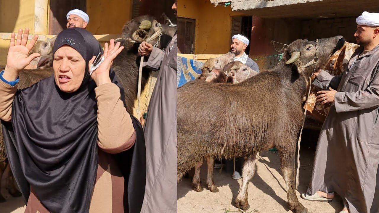 الحاجه بتتهم المعلم محمد الظلم ظلمات يوم القيامه بس المعلم محمد مش ذنبه حاجه وعمل معاهم الصح