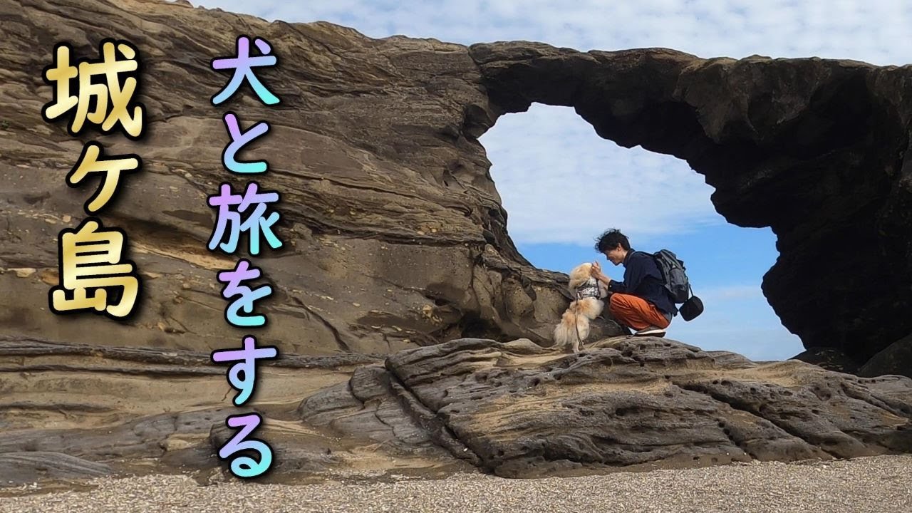 【犬と旅行】ポメのムツオと神奈川県三浦半島の末端、城ヶ島観光。猫島の異名を持つ小さな島を巡り歩き、沢山の猫達と出会う旅【城ヶ島編】