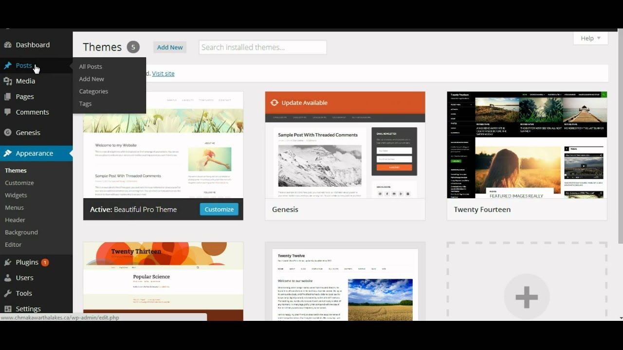 Domain Training 4 - PBN Site Setup using Wordpress