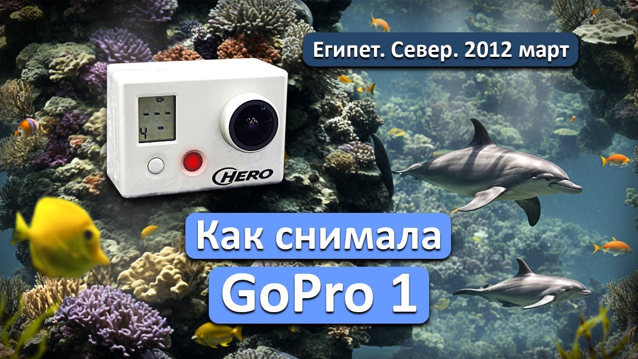Как снимала GoPro1 version 1.0 | Египет дайвинг-сафари 2012 год