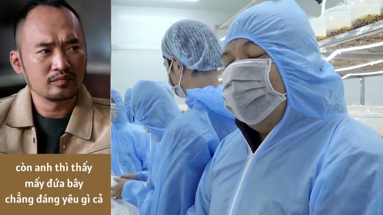 Huỳnh Phương Bào Xưởng Đông Trùng Hạ Thảo Của Anh Tiến Luật