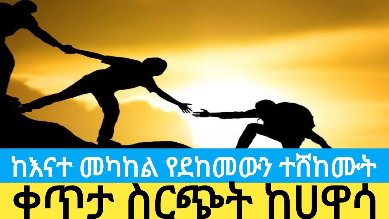 🛑ኑ የዩቱብ ጀማሪዎች በጋራ ወደ ትልቅነት እንጓዝ?