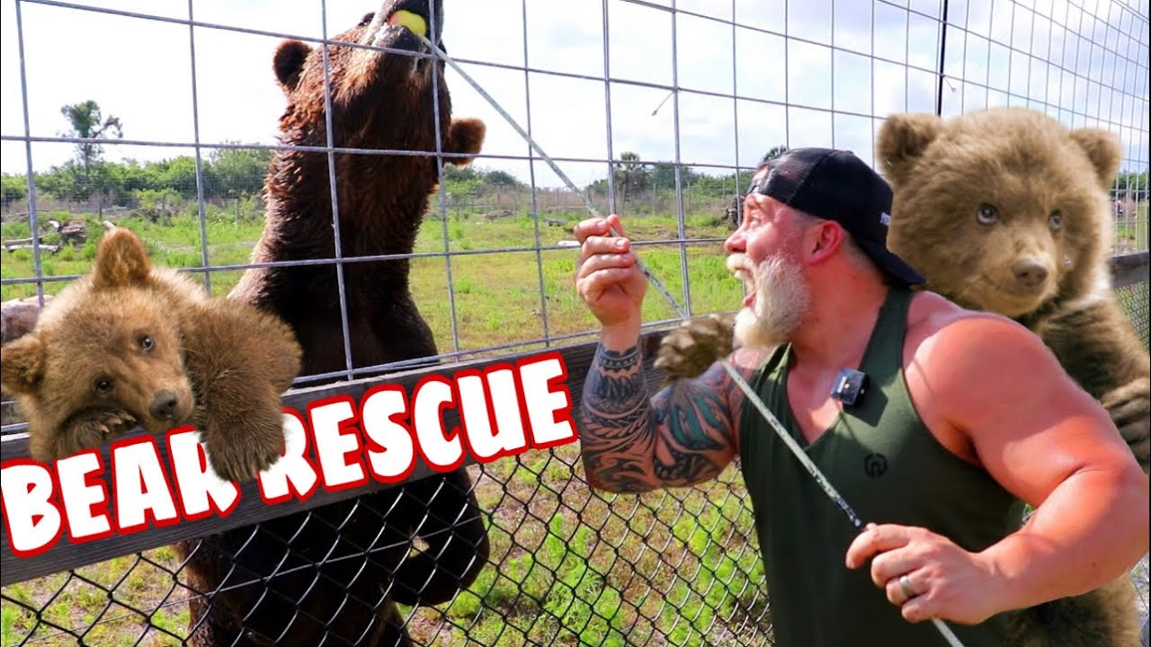 *AMAZING* BEAR RESCUE FACILITY - we went inside with one of America’s top predators