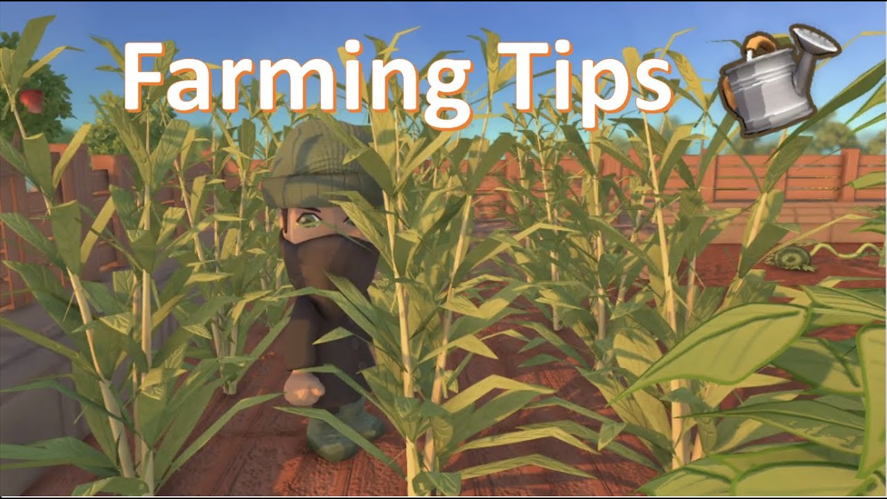 Dinkum for Dummies: Beginner Farming Tips