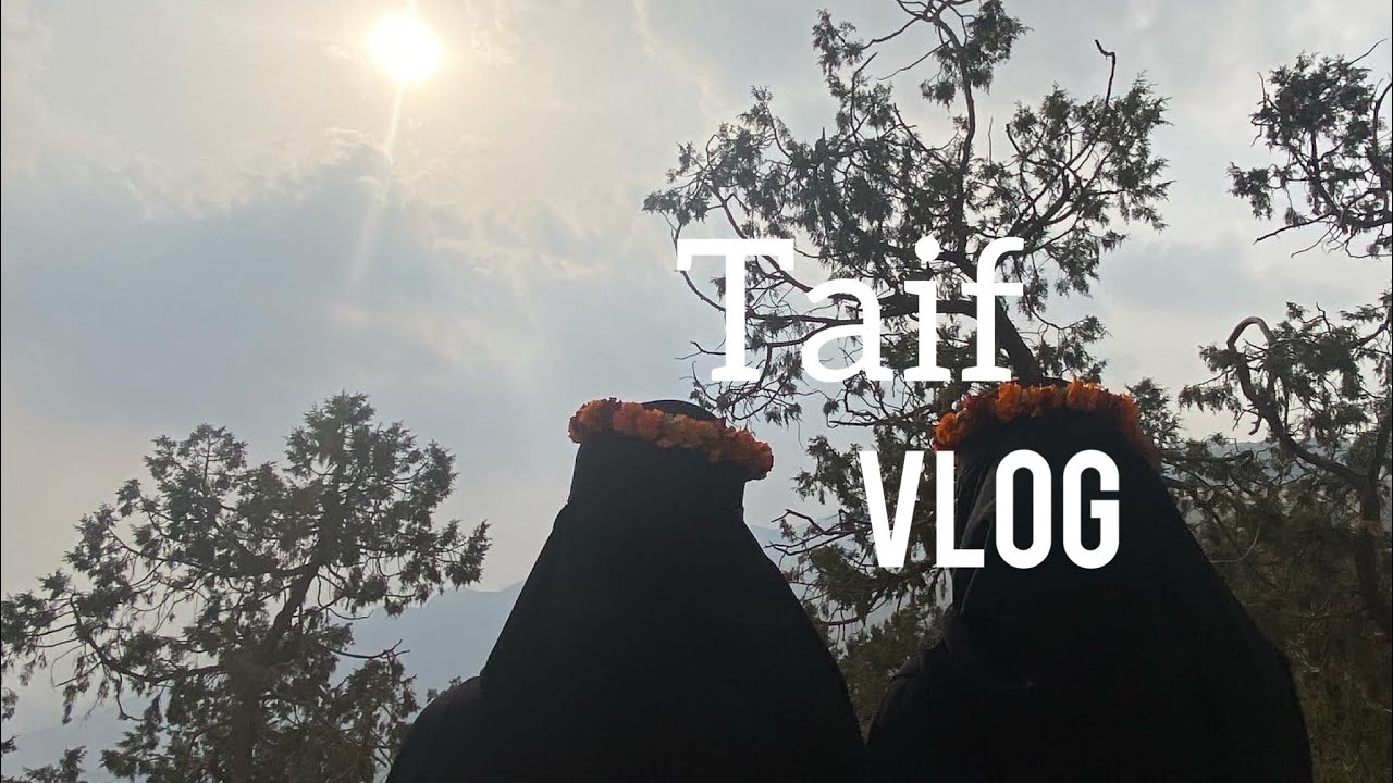 فلوق الطايف | taif vlog 🌧 جانا برد❄️
