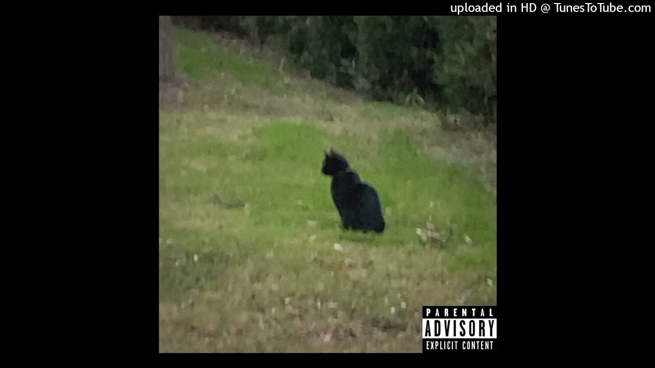 Aiden4Real - for the better (prod. Ixolii)