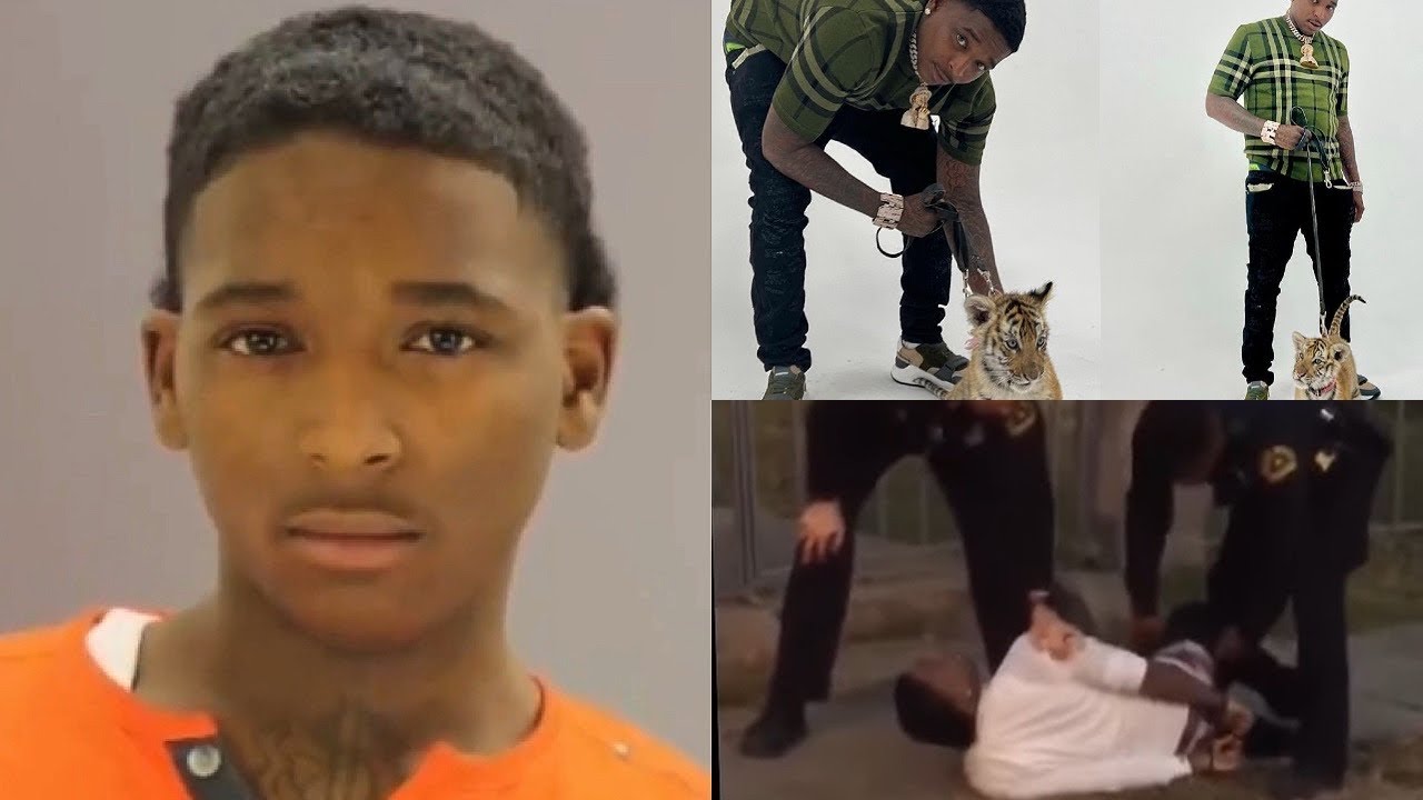 Dallas Rapper Trapboy Freddy ARRESTED By FEDS On WEAPONS Charges By A FELON, Illegal Tiger ALSO FOUN