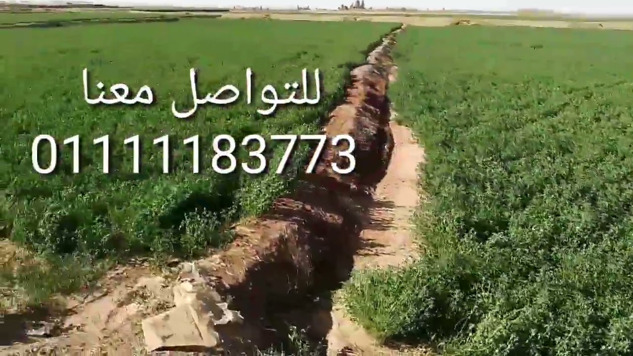 معاينه من البحيرة مركز المحموديه على أرض الواقع فى الفرافرة الوادى الجديد 