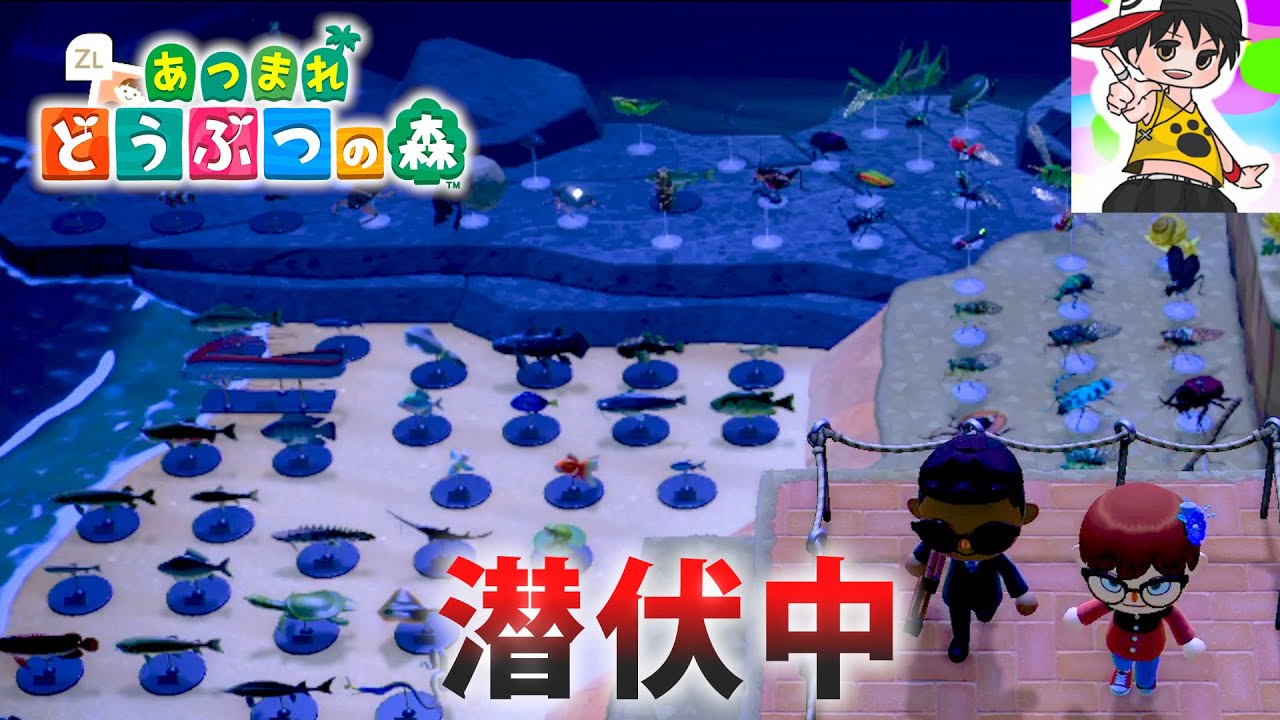 【あつ森】もけいコンプリートした島で潜伏中やってみた 島クリエイターかくれんぼ【実況】あつまれどうぶつの森