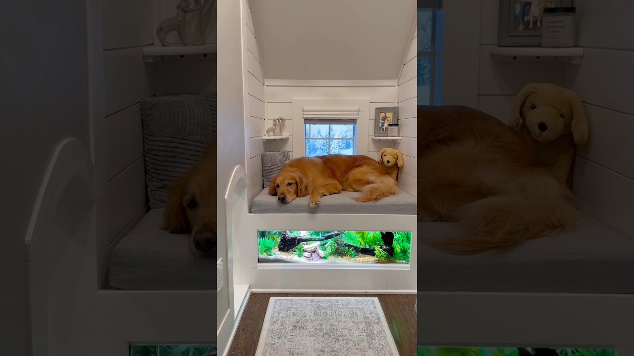 The most luxurious dog house the world is finished!