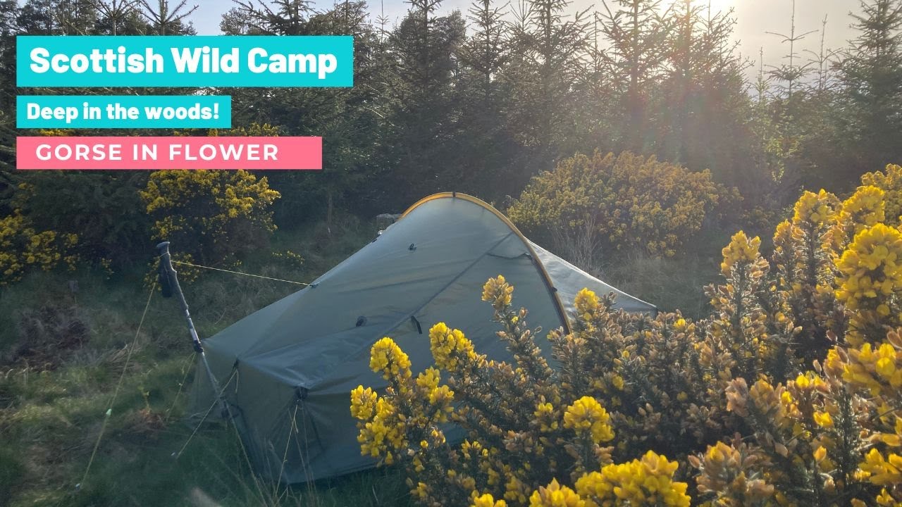 Scottish wild camp!