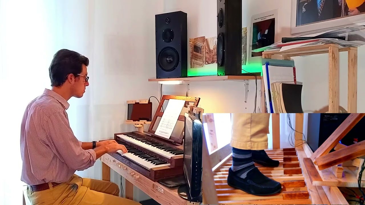 Madonna Nera - Organo Friesach - Software GrandOrgue - Marco Natale