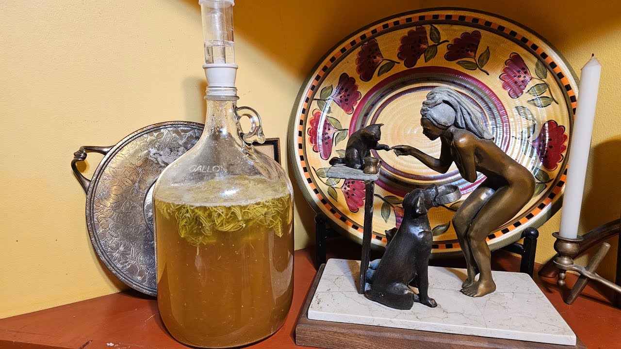Mead Magic: Crafting Spruce Tip Mead & Exploring Herbal Benefits | DIY Recipe Included #homebrew
