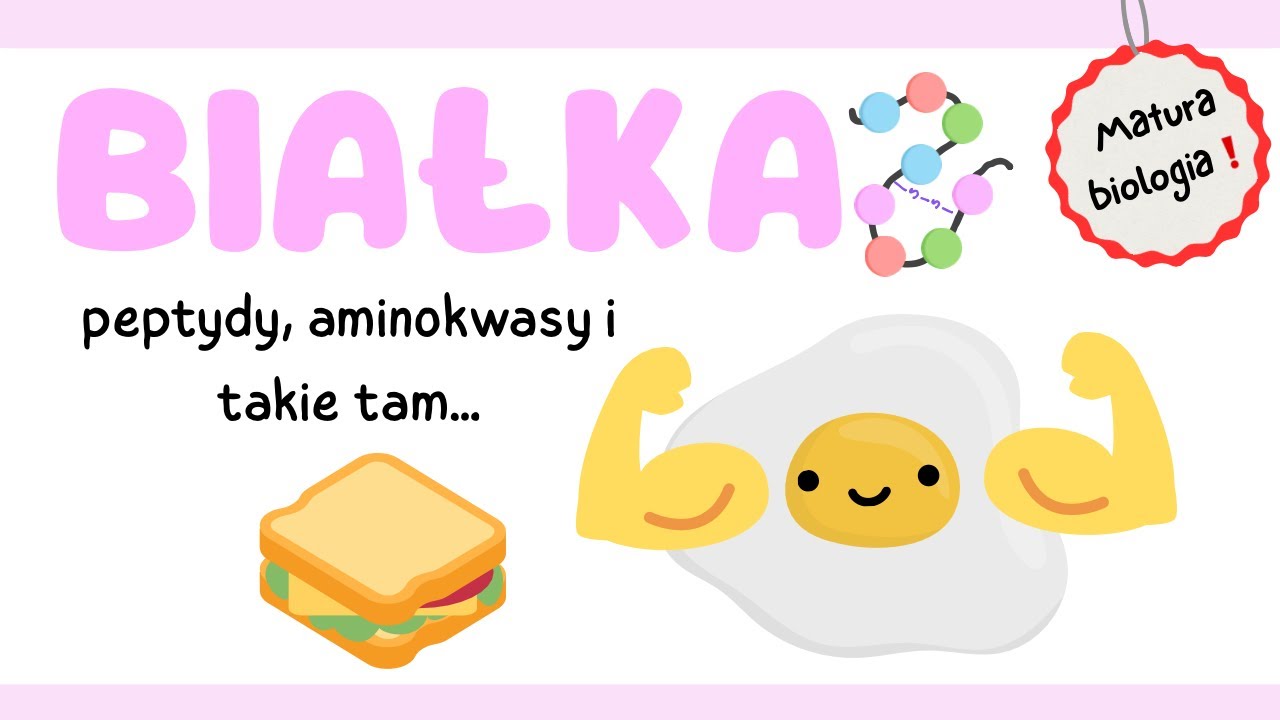 Białka, czyli protieny🍳- podział, funkcje, właściwości| Biologia rozszerzona| Matura Biologia