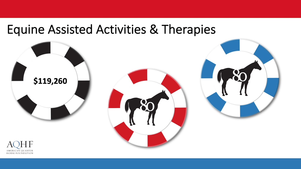 2019 American Quarter Horse Foundation Report