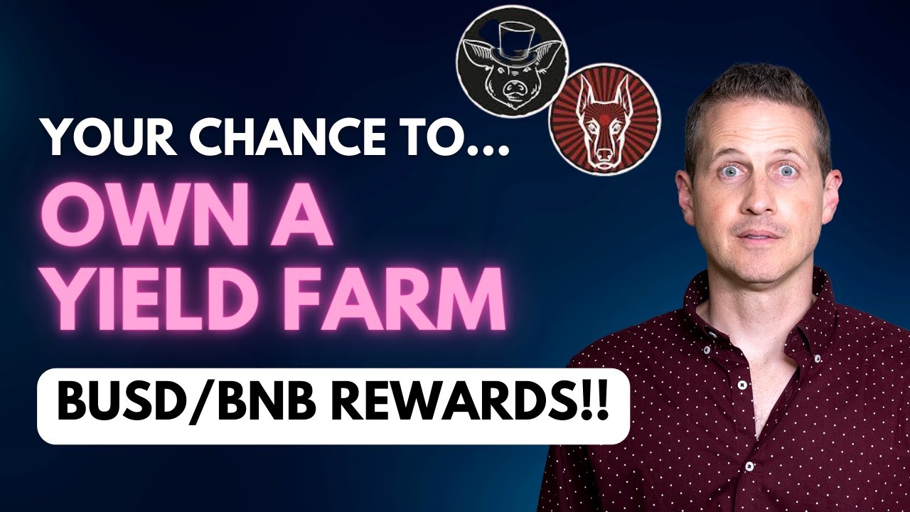 The Best Yield Farm In Crypto?!! - Full Animal Farm Tutorial