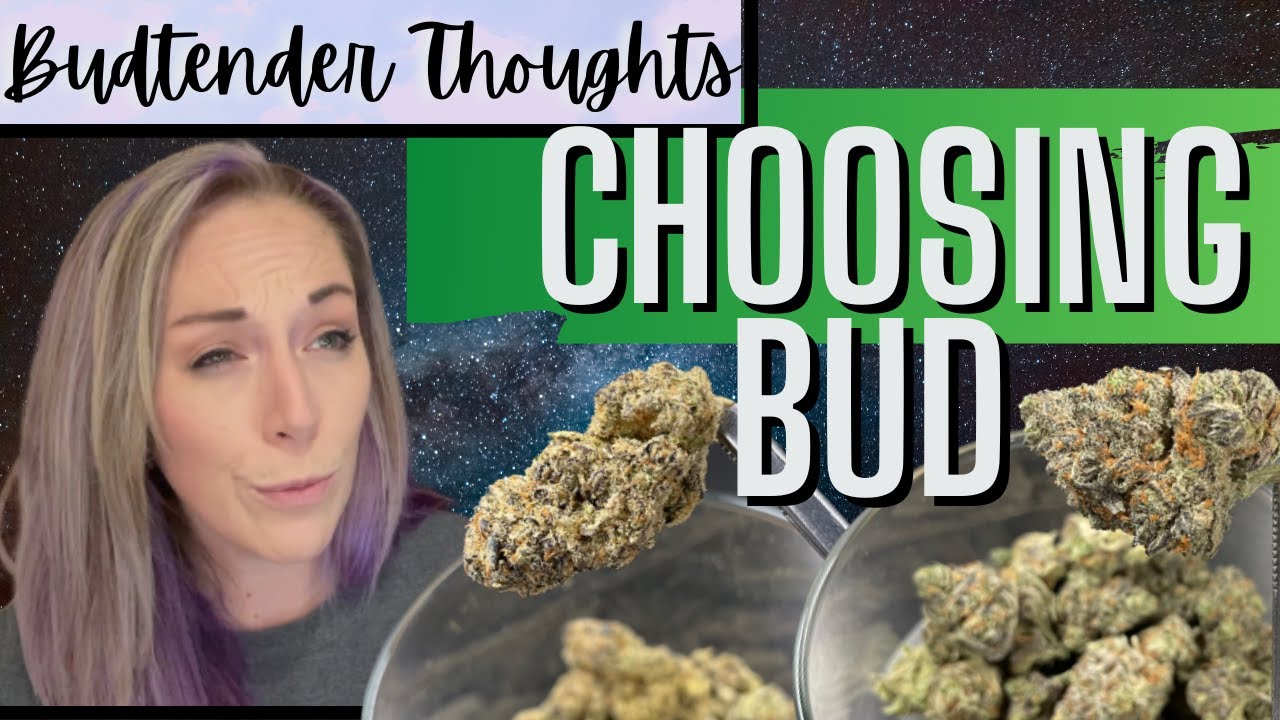 Choosing Bud | Finding the Right Dispensary Marijuana | Budtender Thoughts