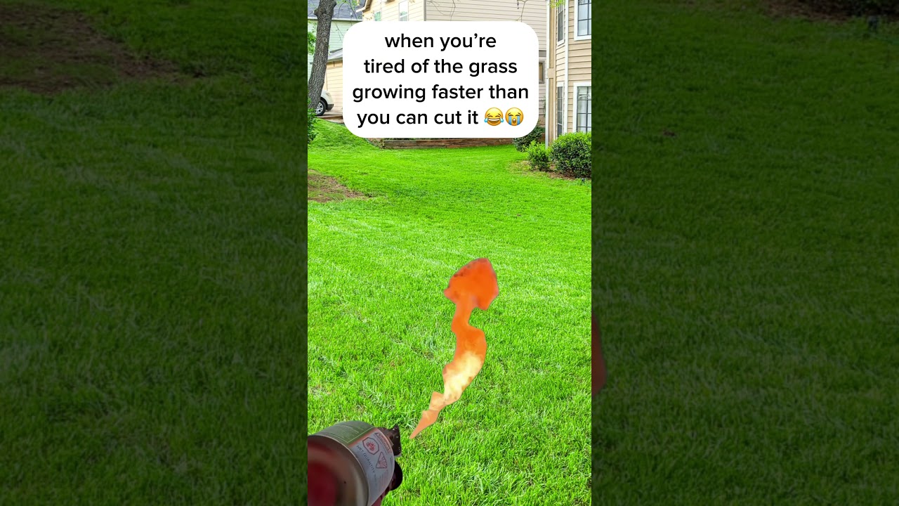 Never Cut Grass Again! An Easy Solution 😂 #yardmaintenance #memes #mowinggrass