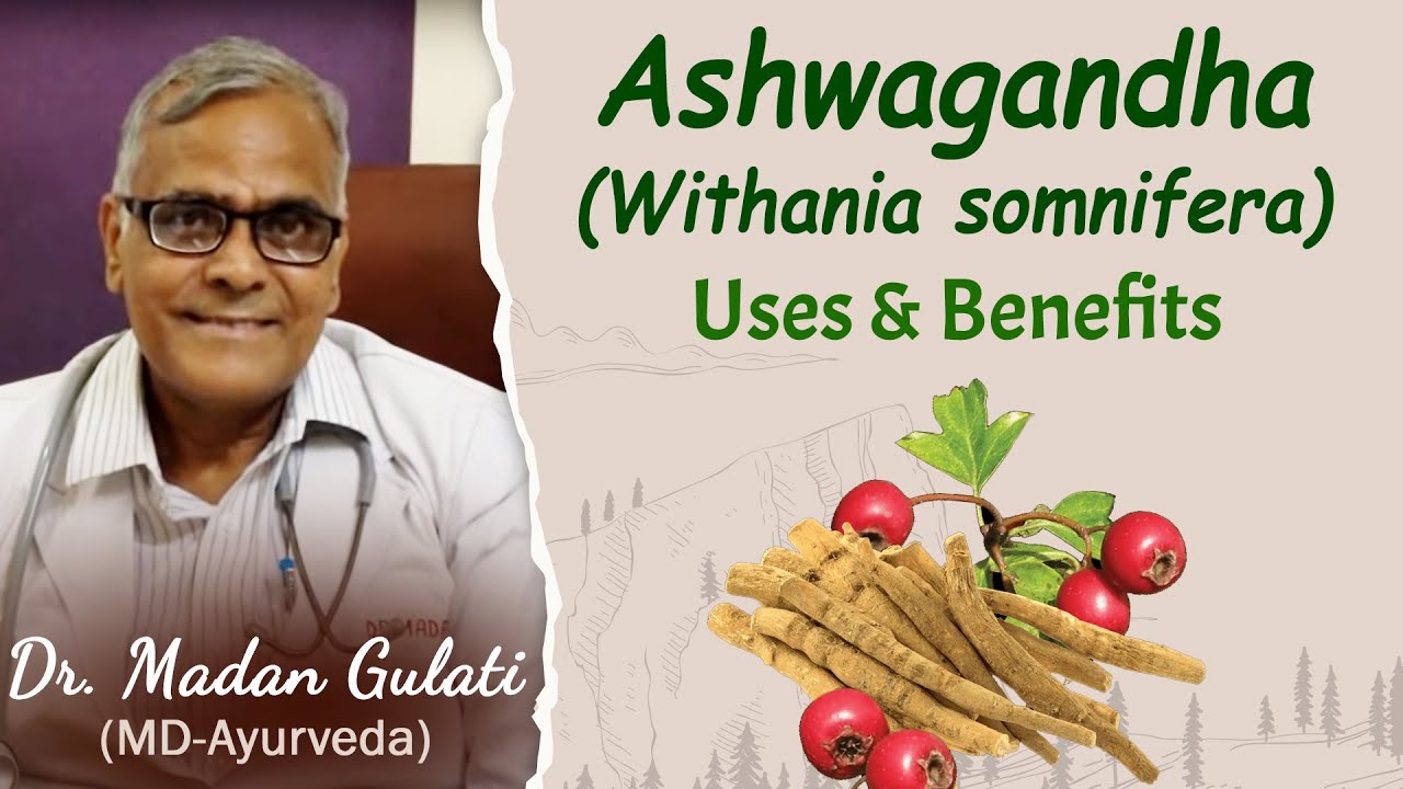 Withania somnifera -Ashwagandha uses and benefits- Planet Ayurveda- Dr. Madan Gulati