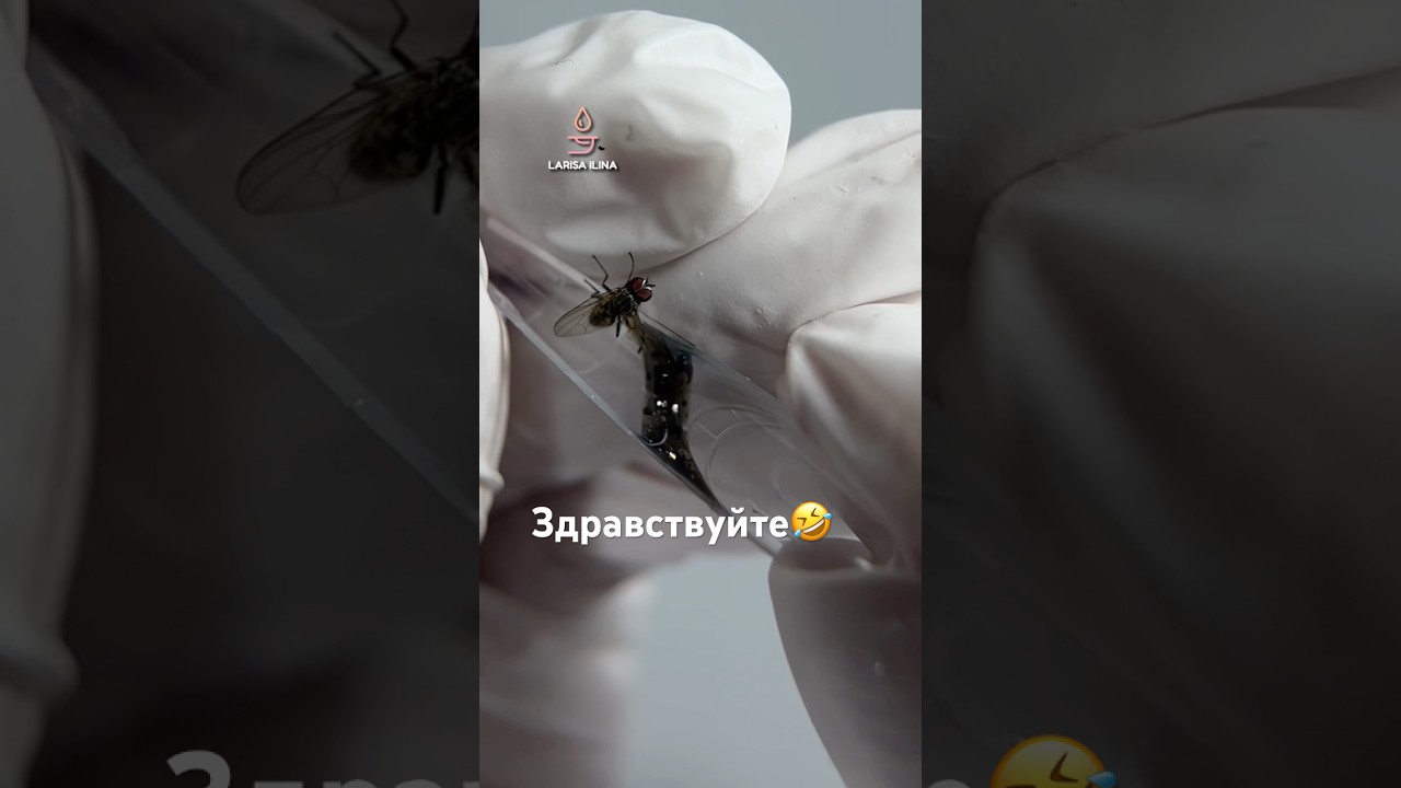 Мои клиенты пищат от такого дизайна🔥 #верхниеформы