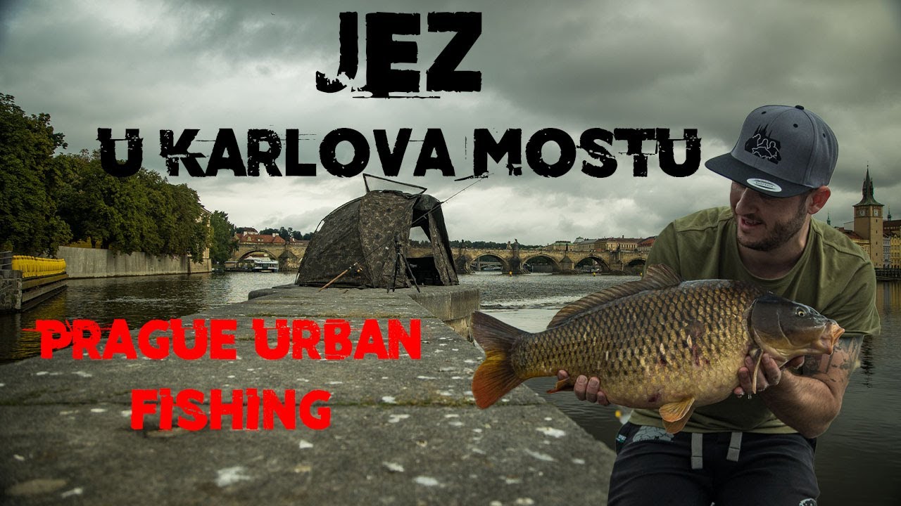 Prague Urban Fishing - Jez u Karlova mostu