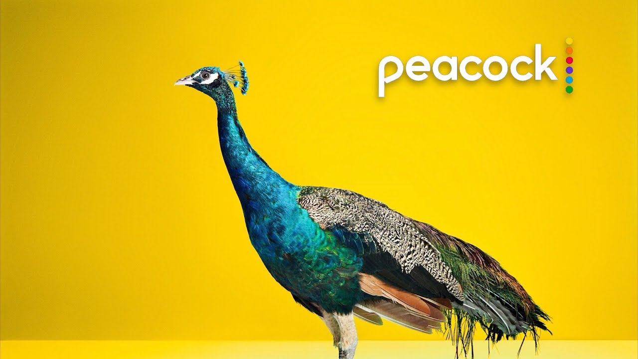 Peacock Streaming OTT Brand Identity Sizzle Reel