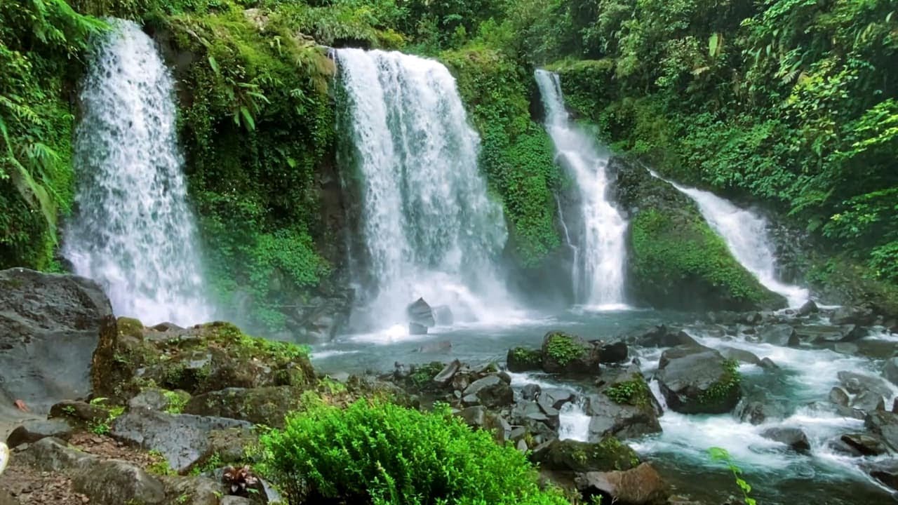 Peaceful Sleep Music beside Night Waterfall for Emotional Balance 🤍💦🌙