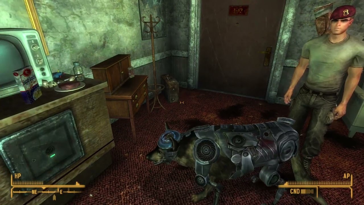 Fallout New Vegas!