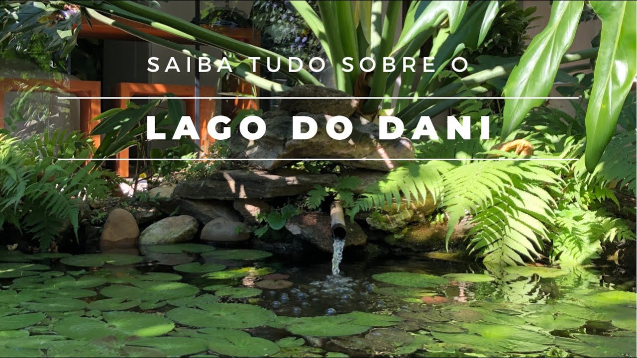 TUDO QUE VOCÊ PRECISA SABER ANTES DE TER UM LAGO EM CASA. #lago #paisagismo #plantas #manutençãolago