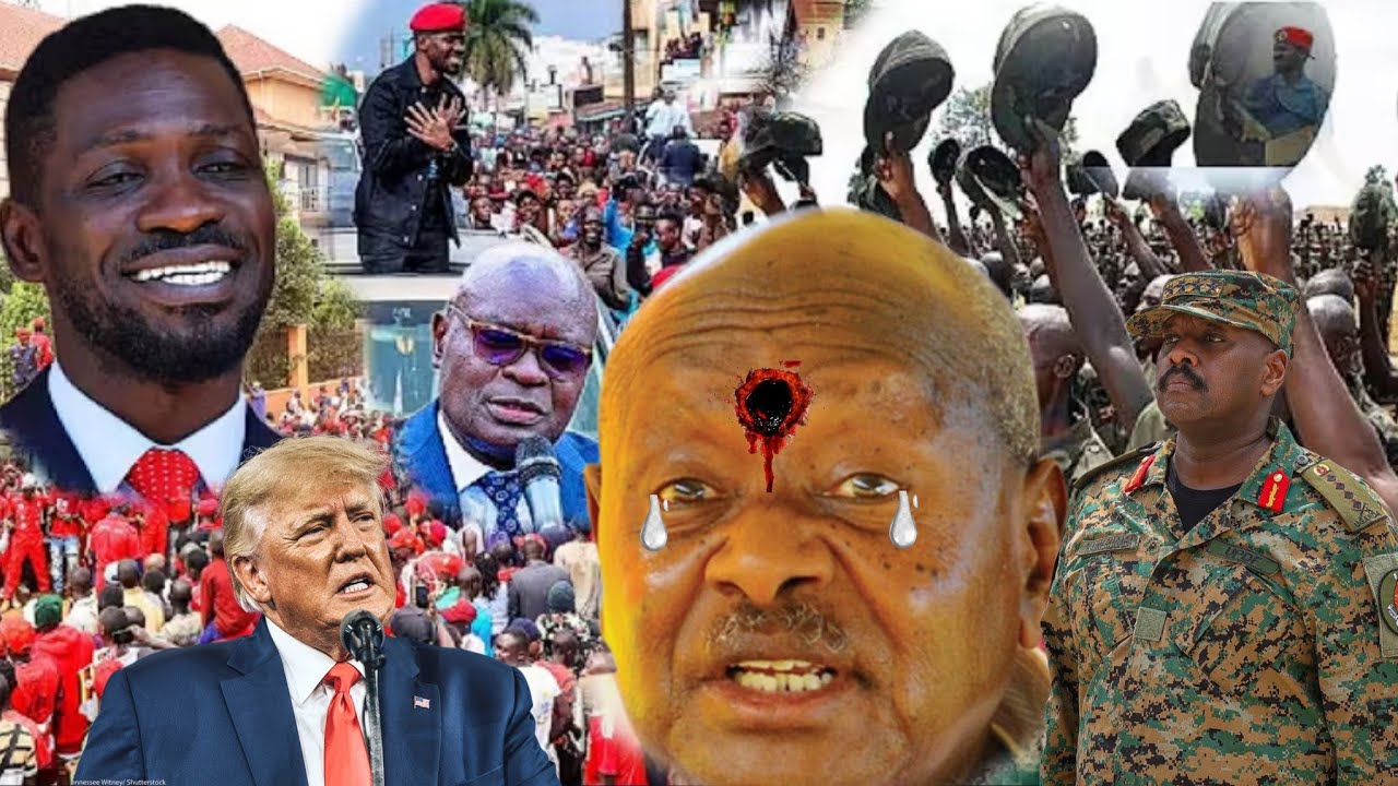 Agakagwawo! M7 jiwunye America yakuwa bobiwine obukumi byabakama tebinagwa gen eyafude ebyama bizuse