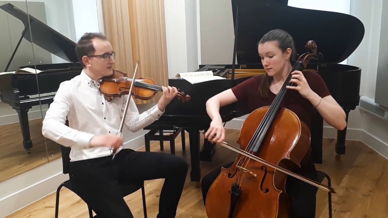 The Beatles - Eleanor Rigby (Violin and Cello cover)