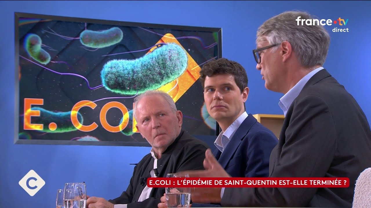 Bactérie E .coli : que s’est-il passé dans les boucheries ?