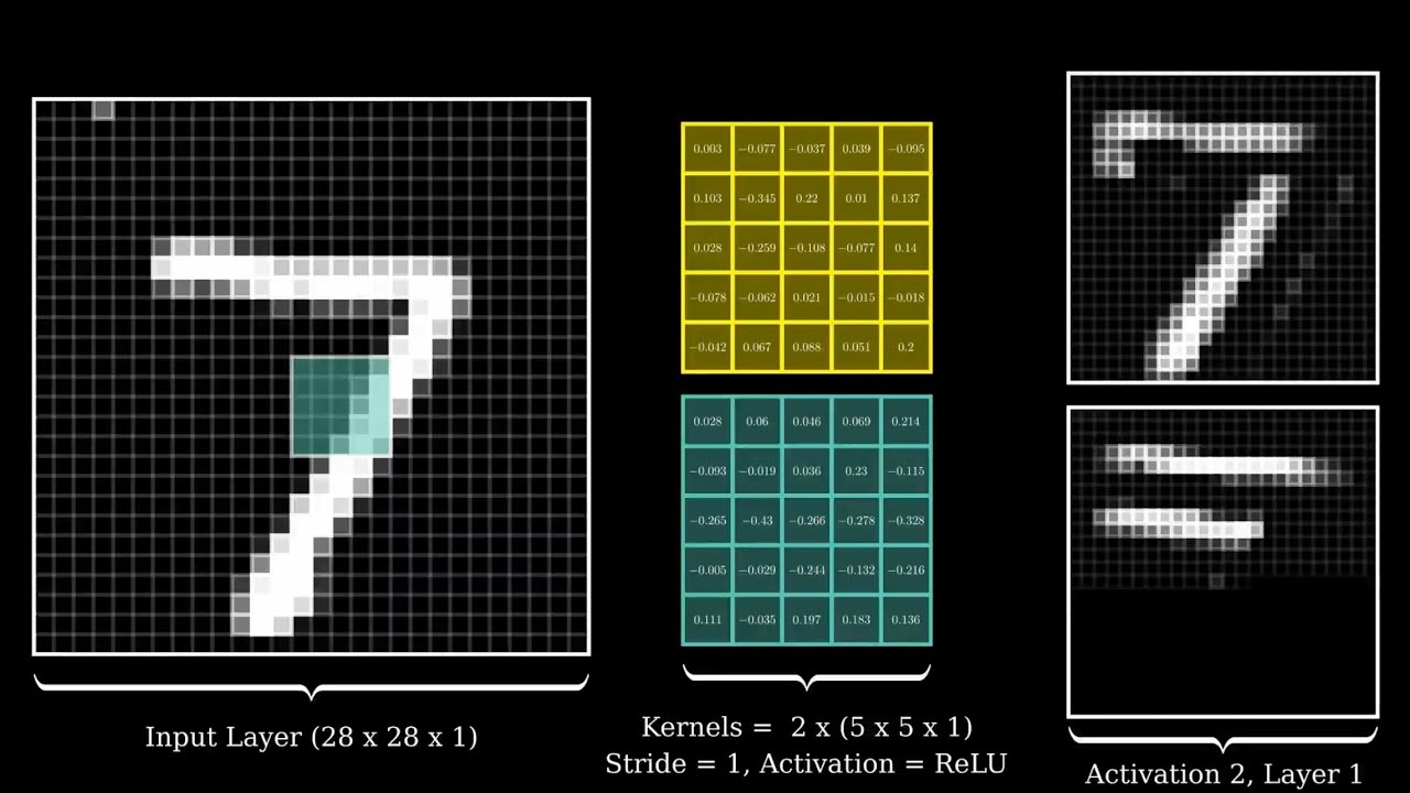 Visualizing Convolutional Neural Networks | Layer by Layer