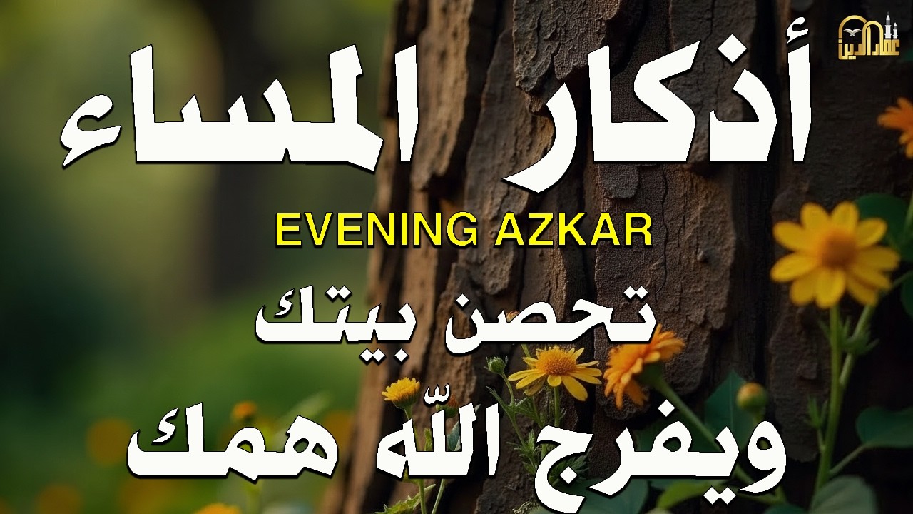 أذكار المساء بصوت القارئ الشيخ علاء عقل قراءة هادئة وراحة وسكينة للقلب EVENING AZKAR