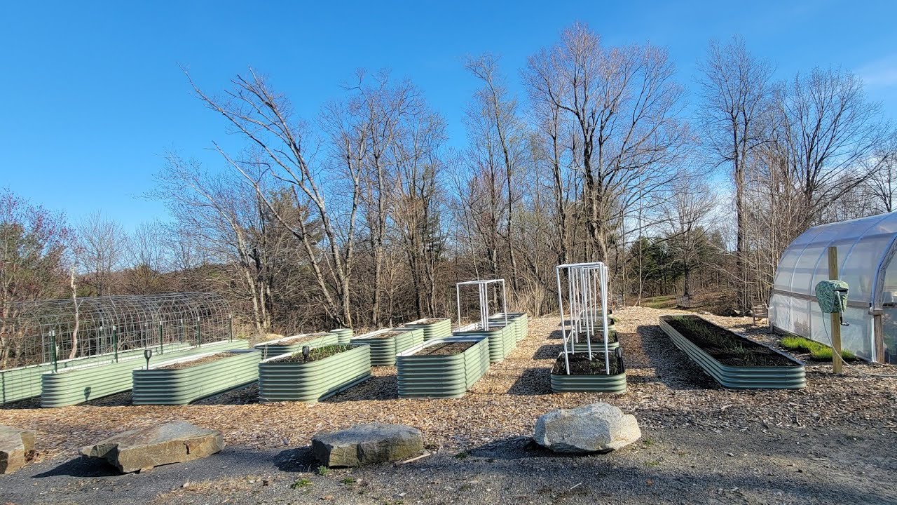 Building a Huge Birdies Raised Bed in our Garden